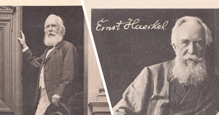 Ce au avut în comun Ernst Haeckel și Grigore Antipa?