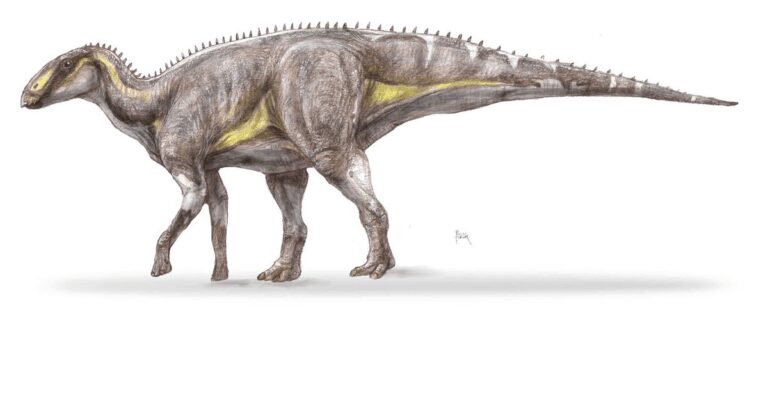 Un dinozaur „ascuns” timp de 130 de ani, descoperit în Țara Hațegului