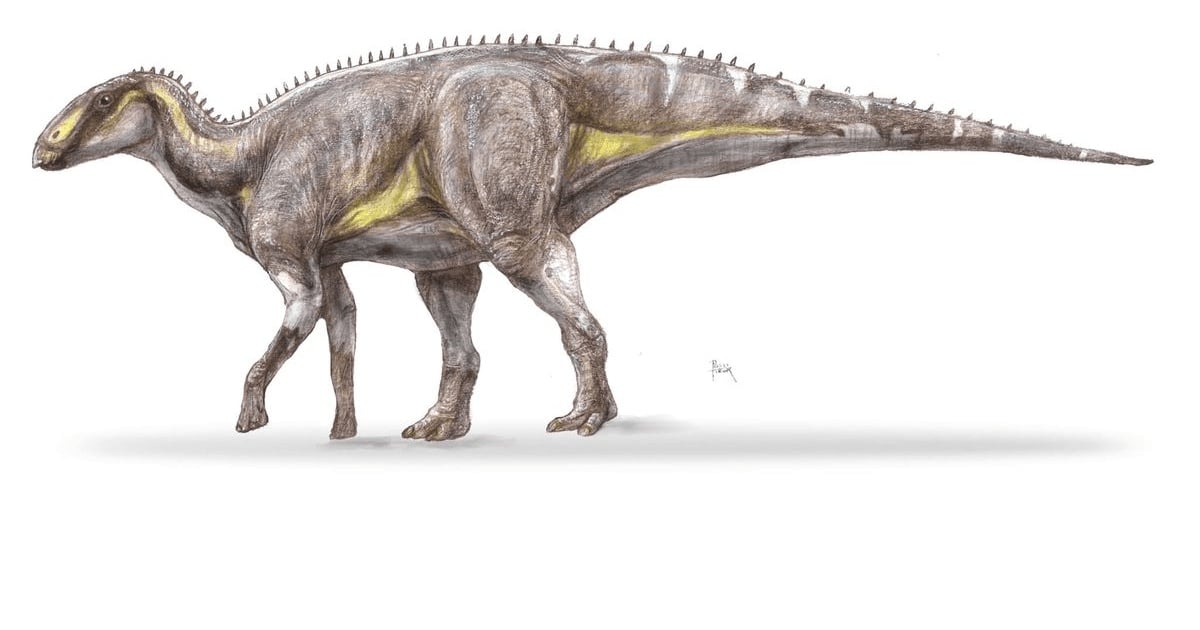Un dinozaur „ascuns” timp de 130 de ani, descoperit în Țara Hațegului