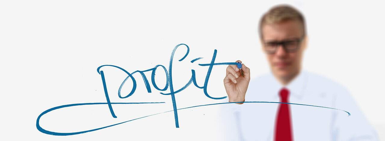 Rezultatele pe 2025 și dividendele de la BVB în 2026: randamente în scădere, companiile mari rămân atractive