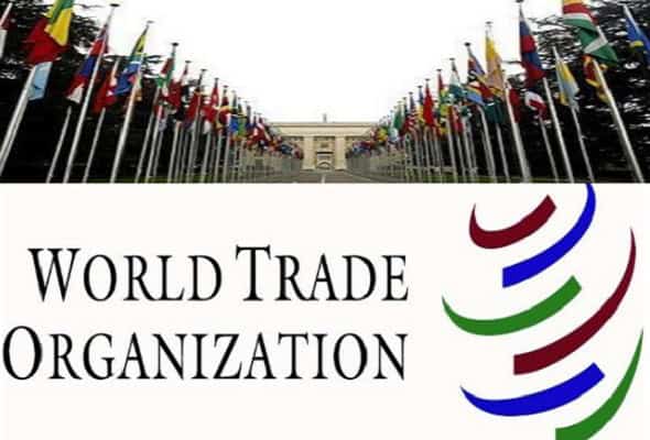 Un grup de state membre ale OMC adoptă primele reguli globale pentru comerţul electronic