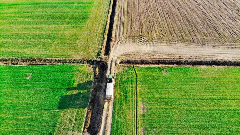 Plan european pentru securizarea aprovizionării cu îngrășăminte: sprijin pentru fermieri, monitorizare a pieței și investiții în producția internă