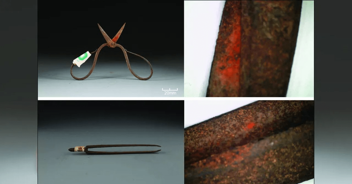 Anestezic medieval: Urme ale unei plante toxice, descoperite pe instrumente chirurgicale vechi de 600 de ani