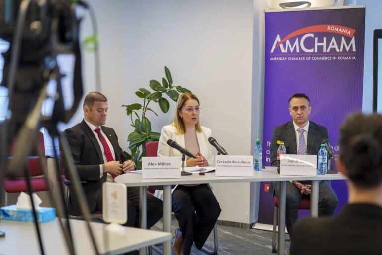 Ce avantaje competitive mai are România, din perspectiva marilor companii care investesc aici. Ce ar fi ”oferta integrată” de țară
