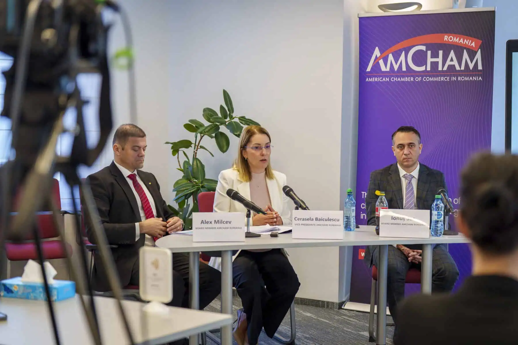 Ce avantaje competitive mai are România, din perspectiva marilor companii care investesc aici. Ce ar fi ”oferta integrată” de țară